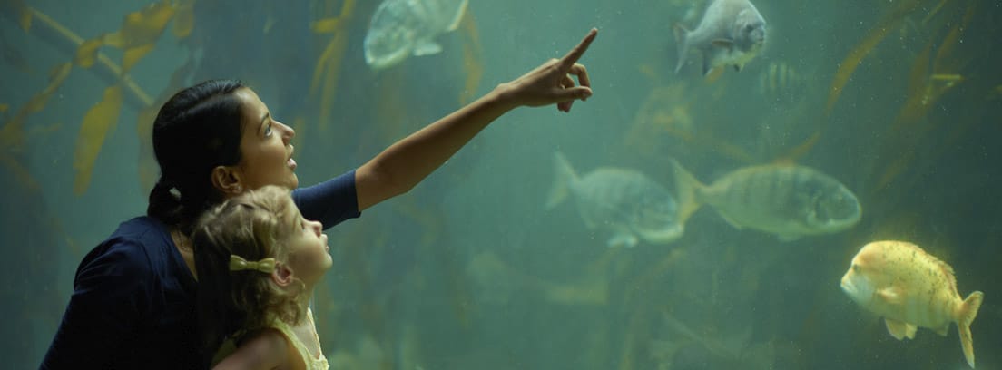 Mujer con niña en brazos señalando un acuario con peces.
