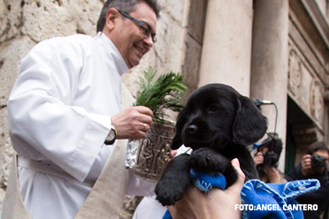 cura bendiciendo a cachorro en San Antón