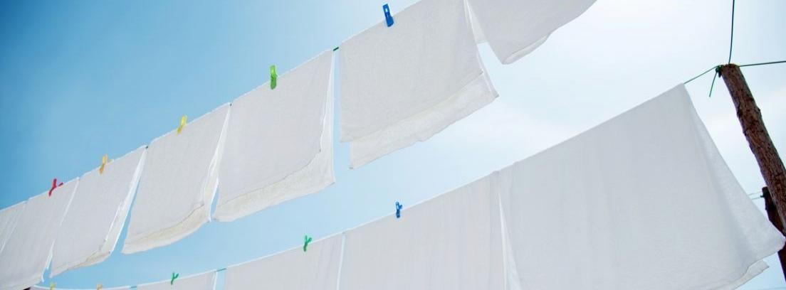 ¿Cada cuánto lavas la ropa del hogar?