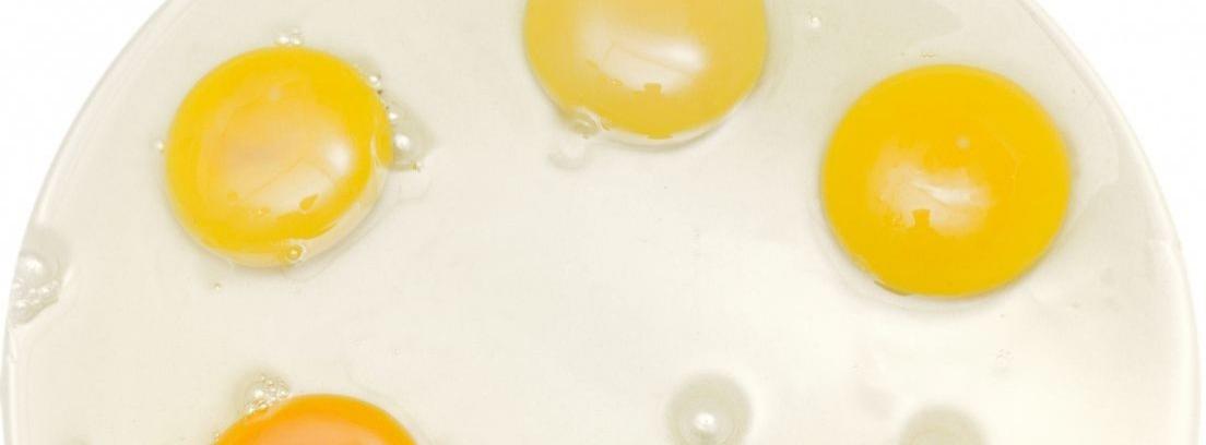Centrar la yema de los huevos cocidos