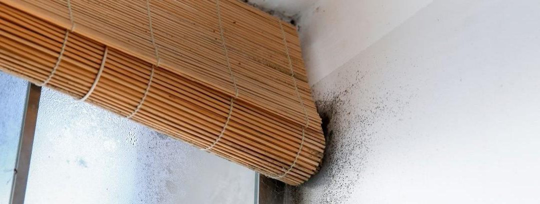 Cómo arreglar una humedad del techo