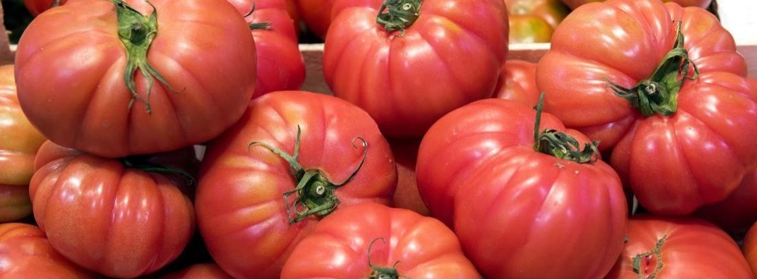 Cómo regar tomates