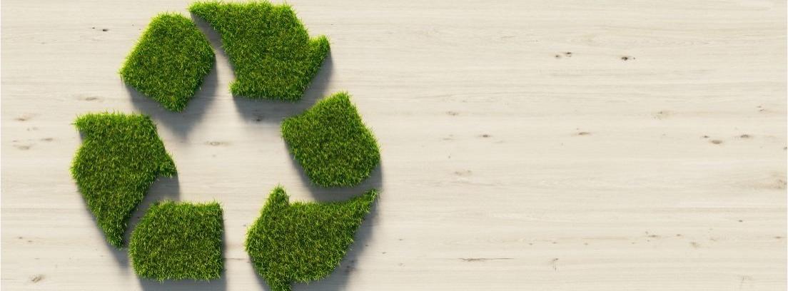 El reciclaje y otros hábitos de cuidado del medio ambiente