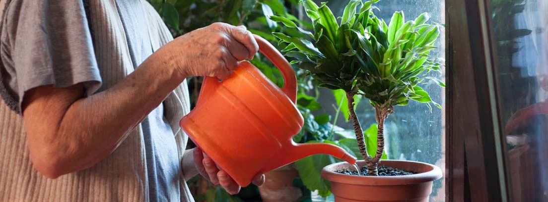 Anciana regando una planta con una regadera naranja