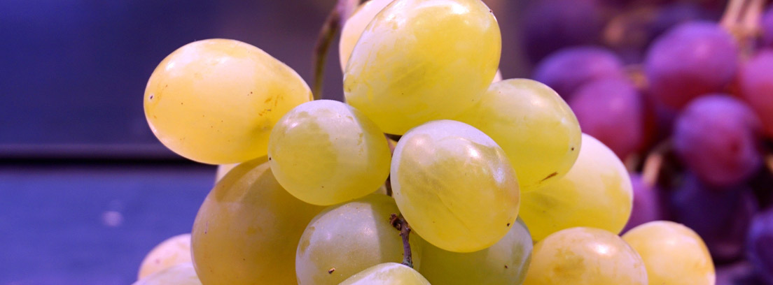 Variedad de uva para elaborar vino moscatel