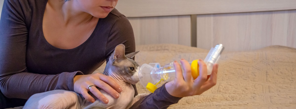 Mujer administrando medicación a un gato