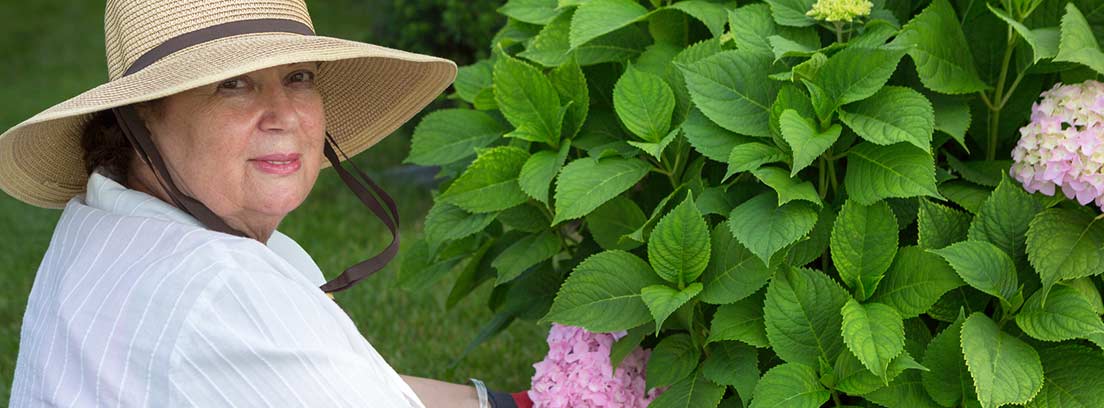 Mujer cuidando hortensias en un jardín