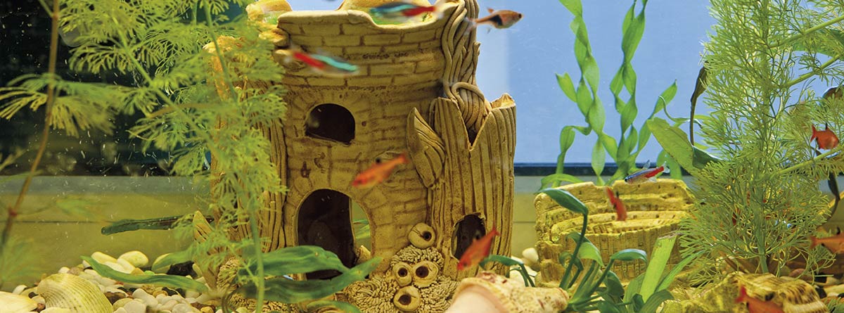 Castillo decorativo en un acuario con peces