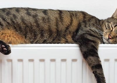 un gato dormido sobre un radiador