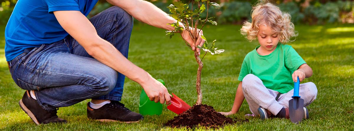Hombre plantando un árbol junto a una niña