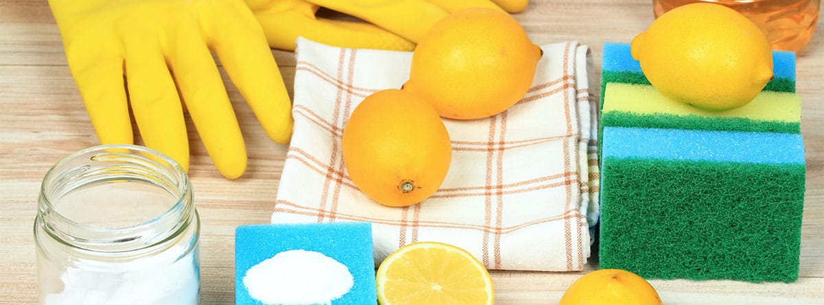 mesa con guantes de plástico, limones, sal, vinagre y paños.
