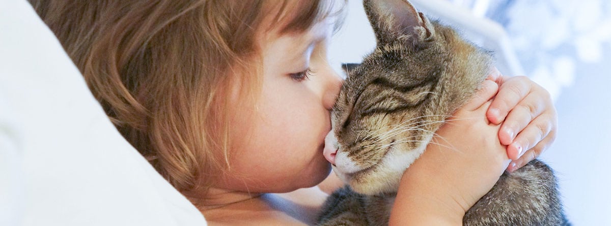 Niña pequeña besando a un gato