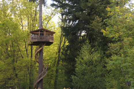 Cabaña en un árbol