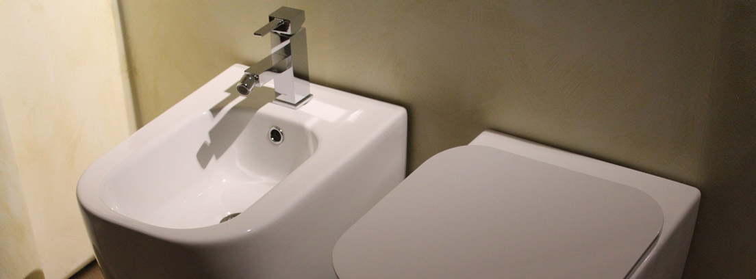 Váter junto a bidet blanco en un cuarto de baño